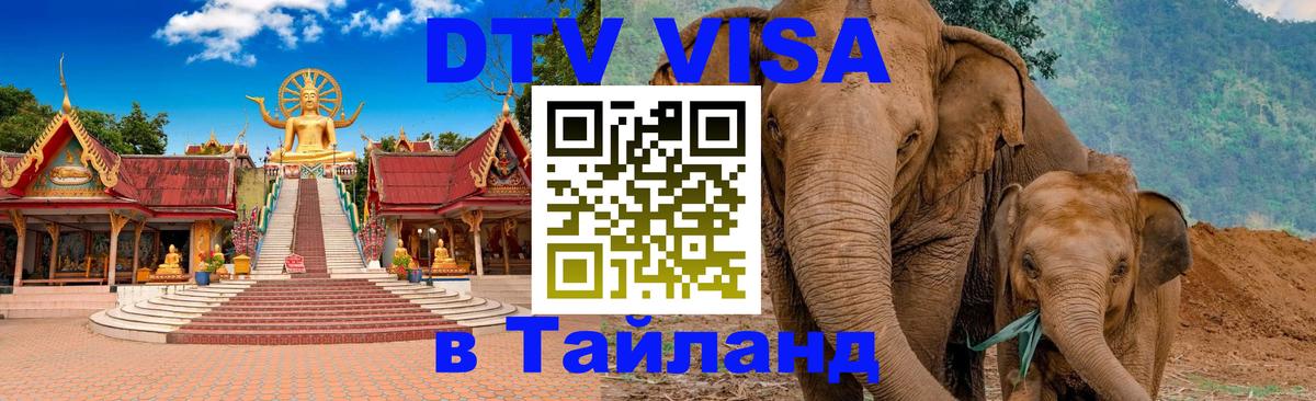 Сколько стоит DTV виза — актуальные цены, оформление даже без документов - 18.11.2025 